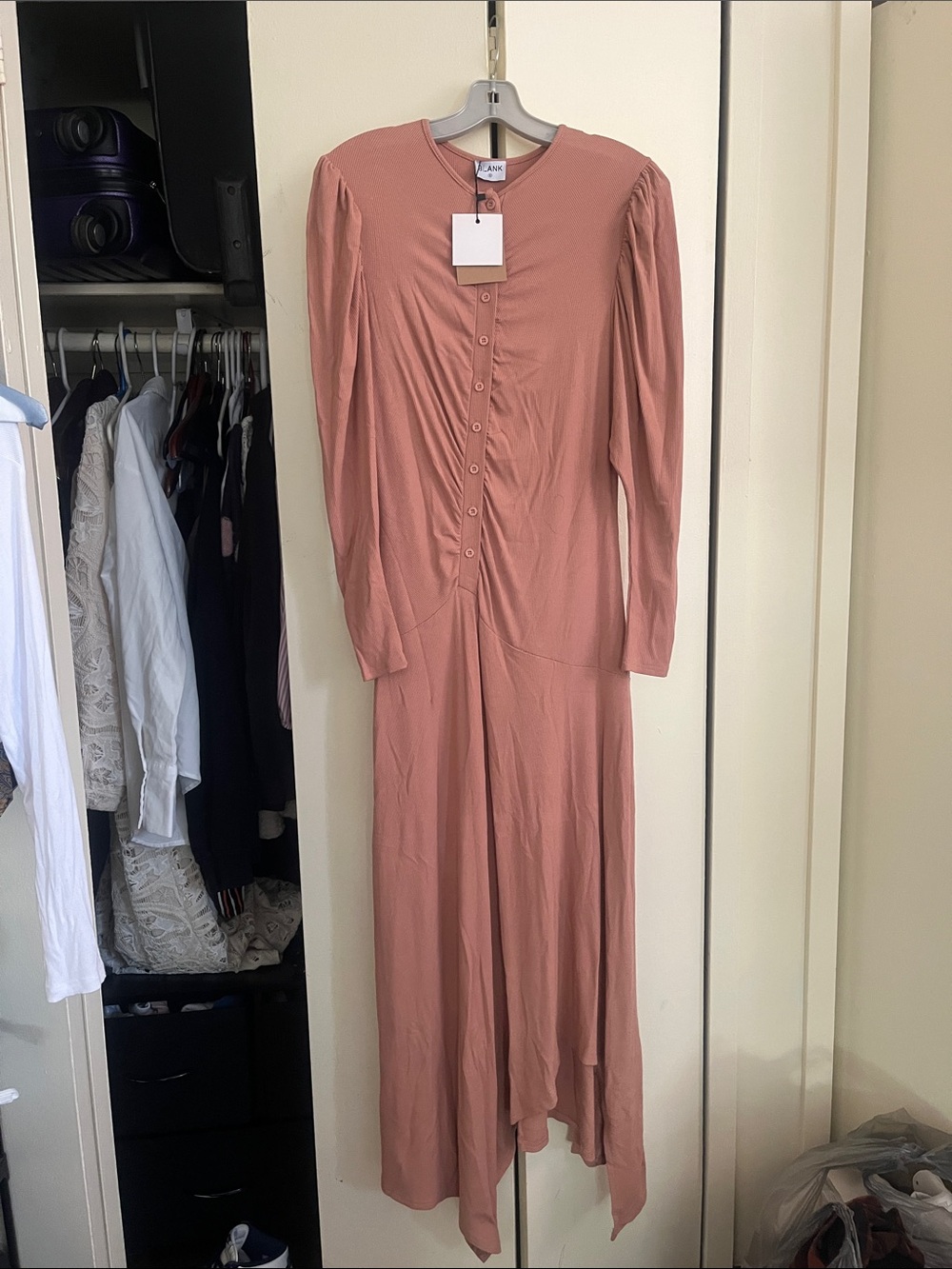 Blank NYC Mauve Button-Front Long Sleeve Maxi Dress